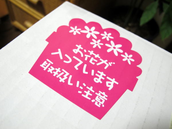 c0147952_23553987.jpg