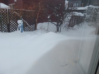 e0004756_10435474.jpg