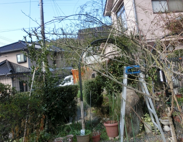 c0328559_16443478.jpg