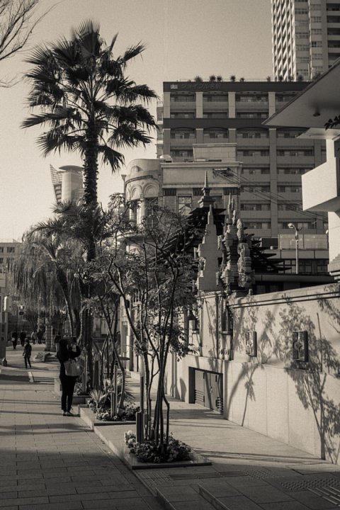 b0175964_21283339.jpg