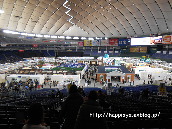 d0097364_19113961.jpg