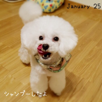 f0322570_21135918.jpg