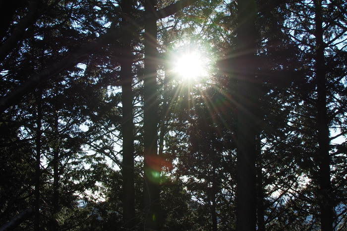 e0307372_21355429.jpg