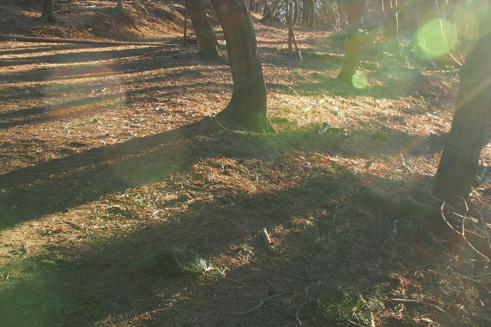 e0307372_21362991.jpg