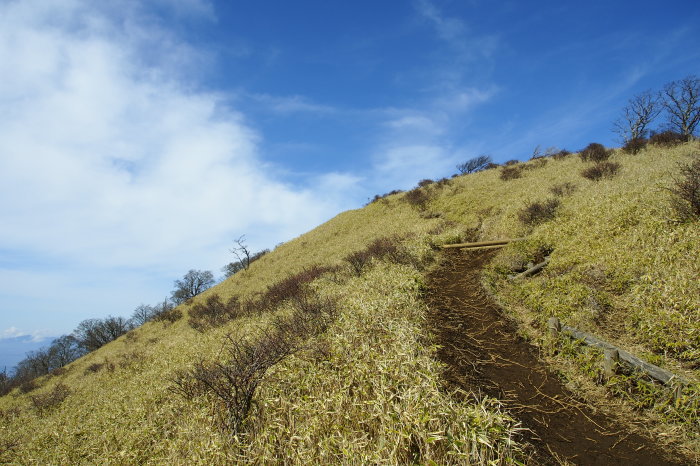 e0307372_23312052.jpg