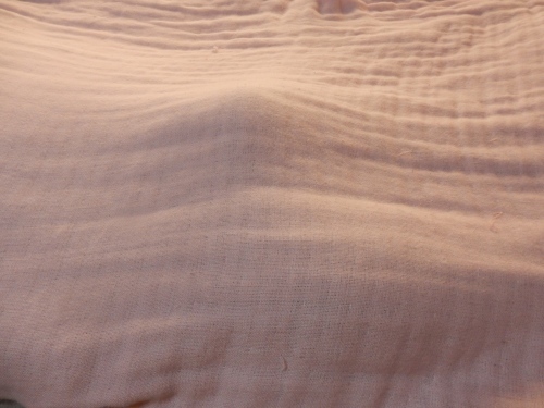 f0054677_09352304.jpg