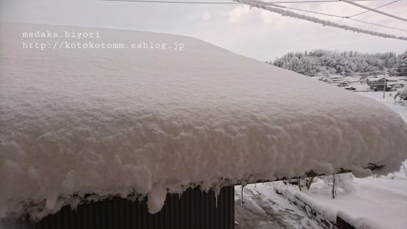 d0335597_20374413.jpg