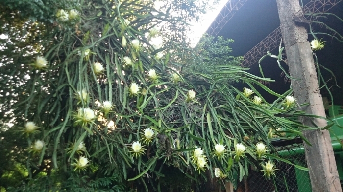 f0225800_07291975.jpg