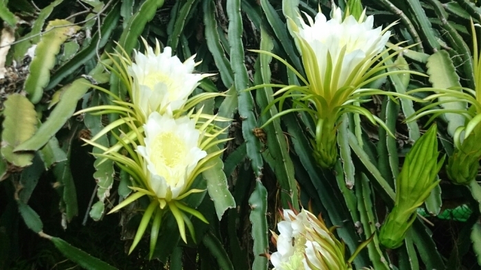 f0225800_07292886.jpg