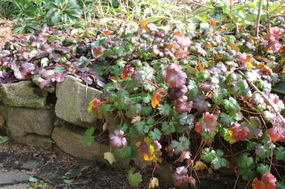 a0139007_21514676.jpg