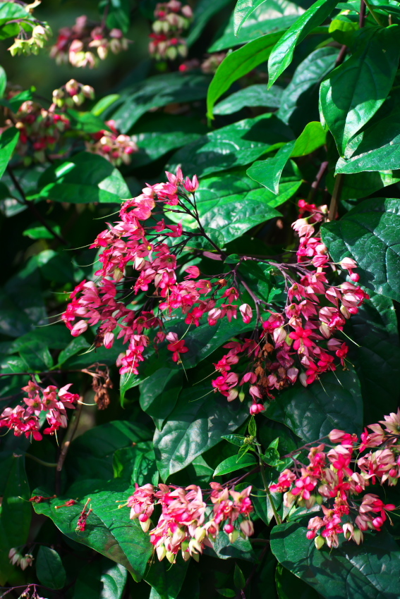 a0263109_11195635.jpg