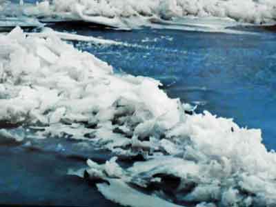 e0001110_1812367.jpg