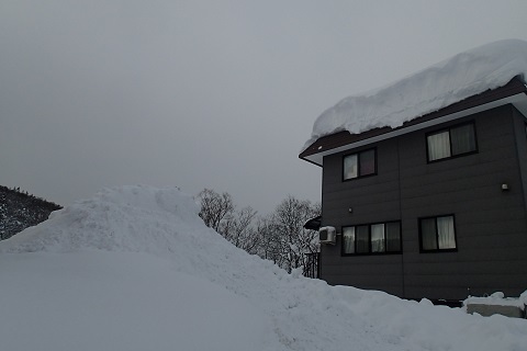 c0182012_09500451.jpg