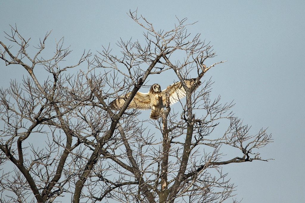 f0221514_20593682.jpg