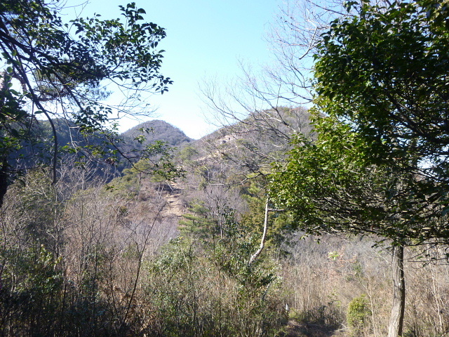 d0170615_20472064.jpg
