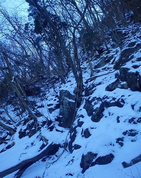 f0193521_1911413.jpg