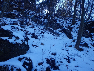 f0193521_193242.jpg