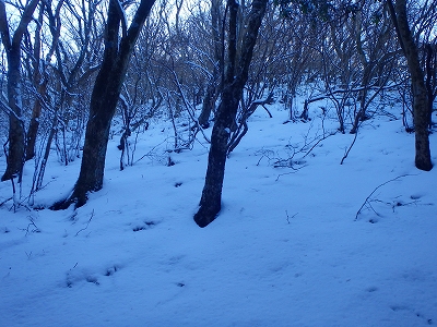 f0193521_20283134.jpg