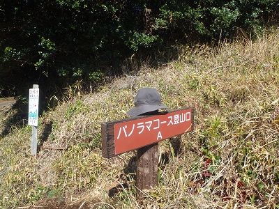 f0193521_2034184.jpg