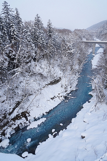 f0037227_2033285.jpg