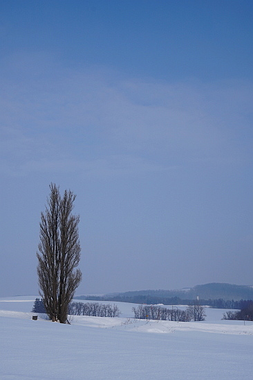 f0037227_20332911.jpg