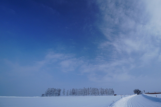 f0037227_20335142.jpg