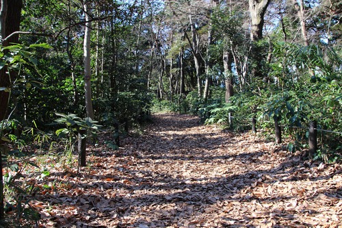 b0162728_20211526.jpg