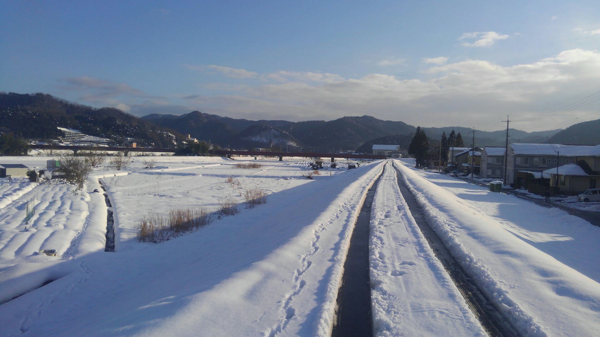 f0111128_113310.jpg