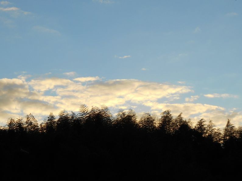 f0088731_01185506.jpg