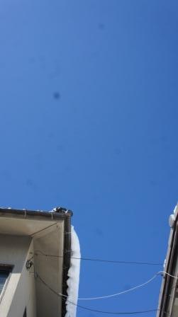 e0166734_19060920.jpg