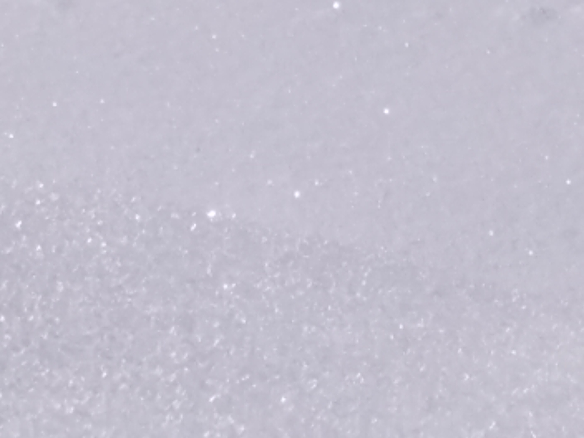 c0300035_14382841.jpg