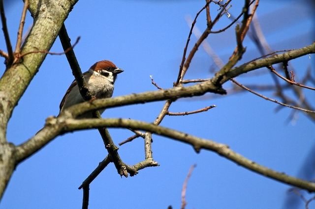 a0242438_20141459.jpg