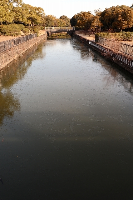 a0242438_20141474.jpg
