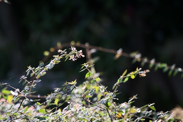 a0242438_20142542.jpg