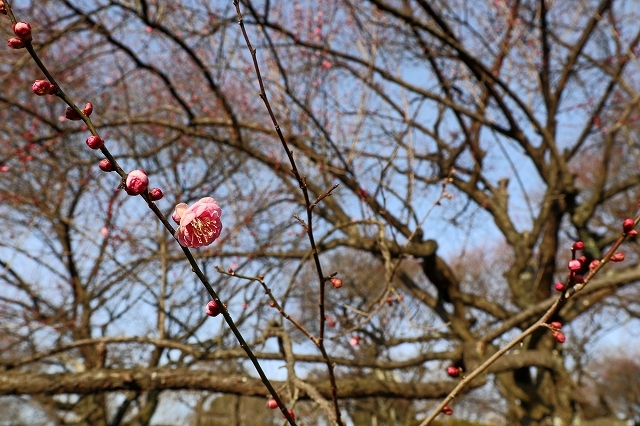 a0242438_20142572.jpg