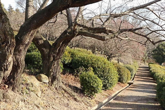 a0242438_20142621.jpg