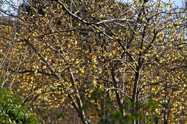 a0242438_20161849.jpg