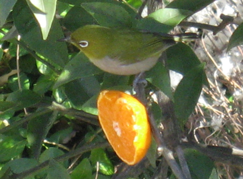 f0153547_17214170.jpg