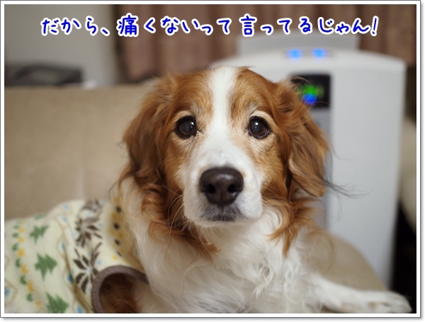 d0013149_00261263.jpg