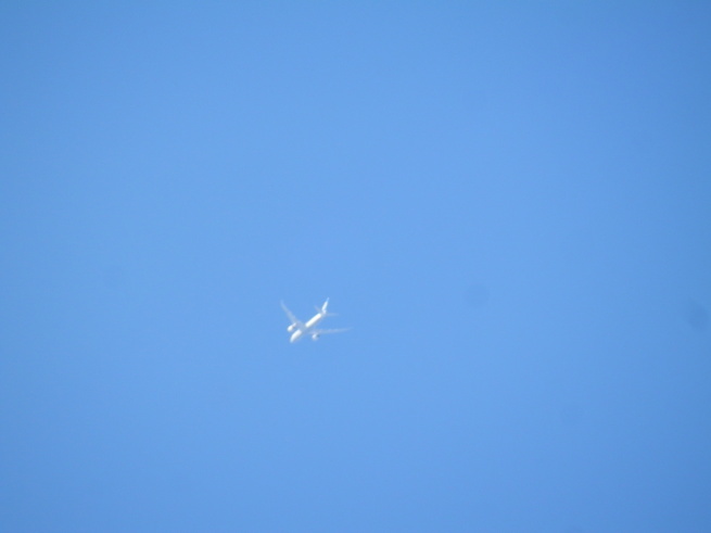 e0288951_21575862.jpg