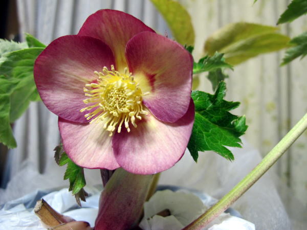 c0147952_00033141.jpg