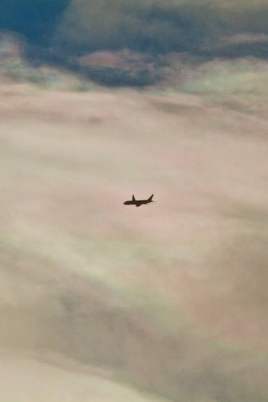 a0226258_11522758.jpg