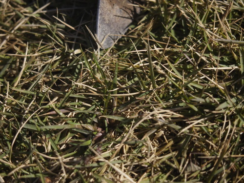 b0246758_21264075.jpg
