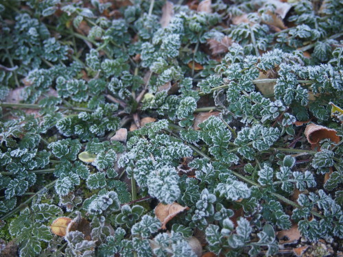 b0246758_21335721.jpg