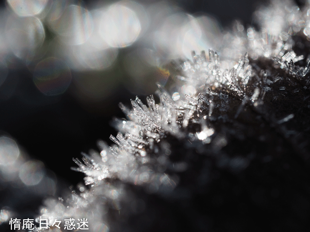 e0346064_19275781.gif