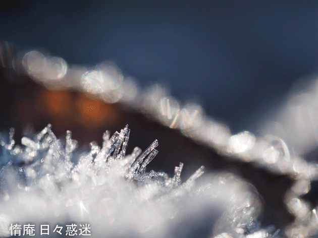 e0346064_19275791.gif