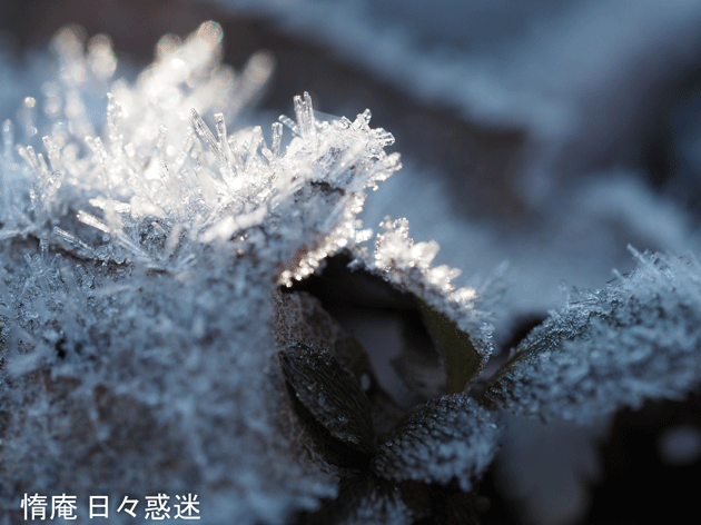e0346064_19275858.gif