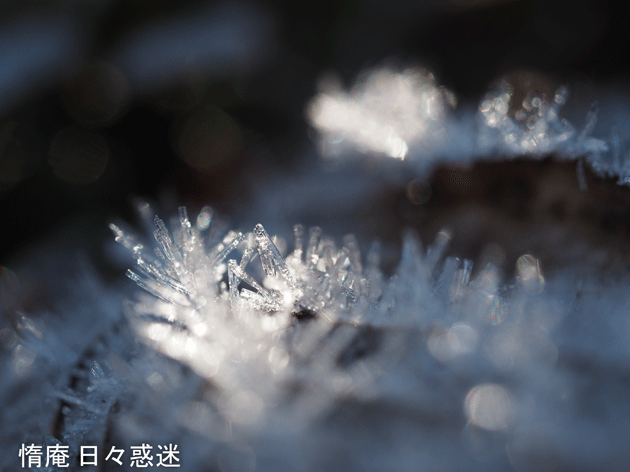 e0346064_19275875.gif