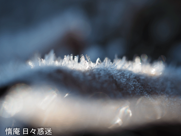 e0346064_19275924.gif