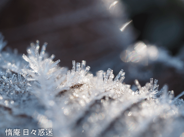 e0346064_19275968.gif